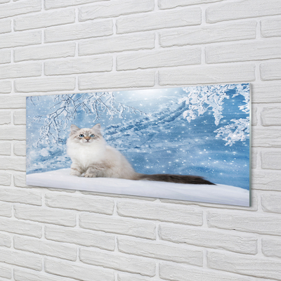 Glasbilder Katze winter