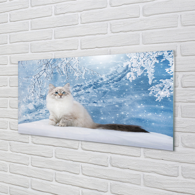 Glasbilder Katze winter