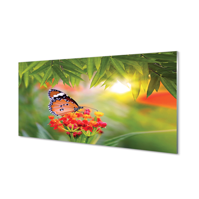 Glasbilder Blumen bunter schmetterling