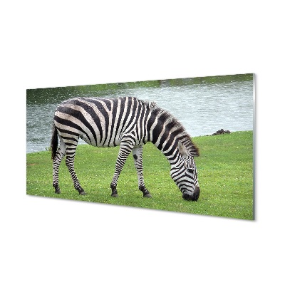 Glasbilder Zebra