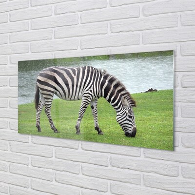 Glasbilder Zebra