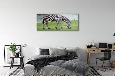 Glasbilder Zebra