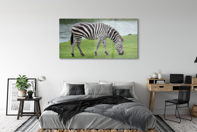 Glasbilder Zebra