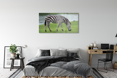 Glasbilder Zebra