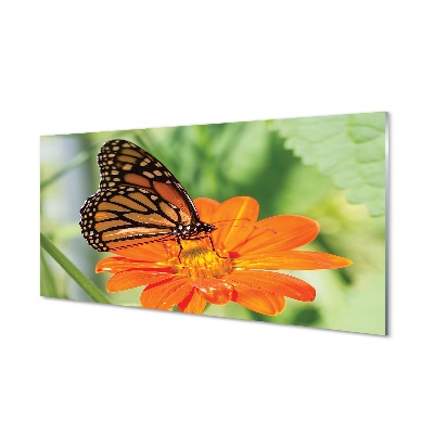 Glasbilder Schmetterling farbige blumen