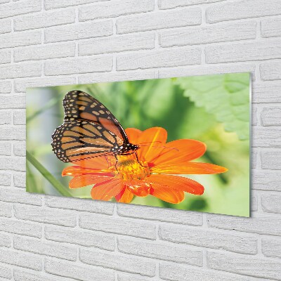 Glasbilder Schmetterling farbige blumen