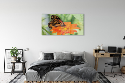 Glasbilder Schmetterling farbige blumen