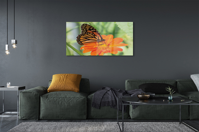 Glasbilder Schmetterling farbige blumen