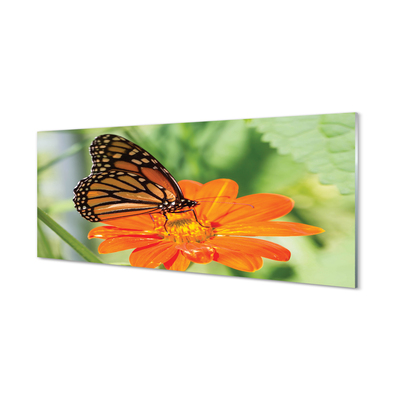 Glasbilder Schmetterling farbige blumen