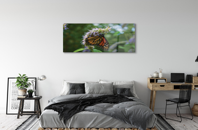 Glasbilder Schmetterling farbige blumen