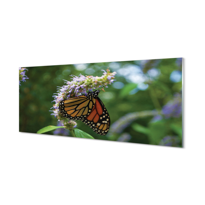 Glasbilder Schmetterling farbige blumen