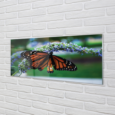 Glasbilder Schmetterling auf blume