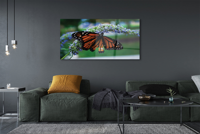 Glasbilder Schmetterling auf blume