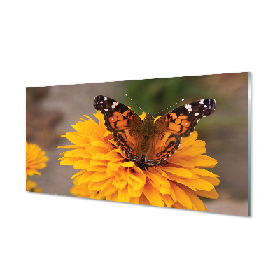 Glasbilder Schmetterling farbige blumen