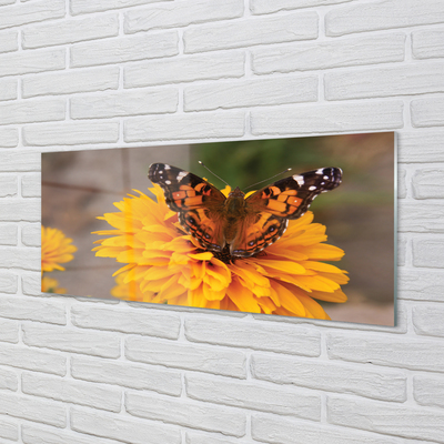 Glasbilder Schmetterling farbige blumen