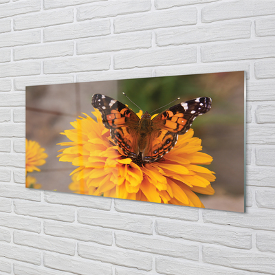 Glasbilder Schmetterling farbige blumen