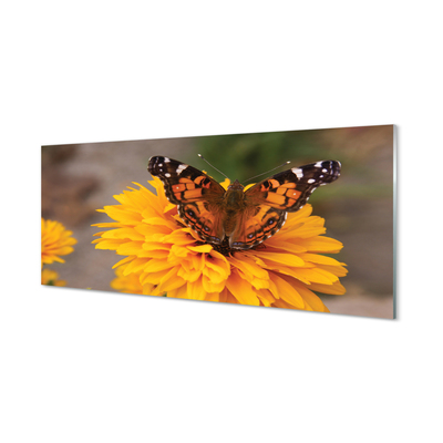 Glasbilder Schmetterling farbige blumen