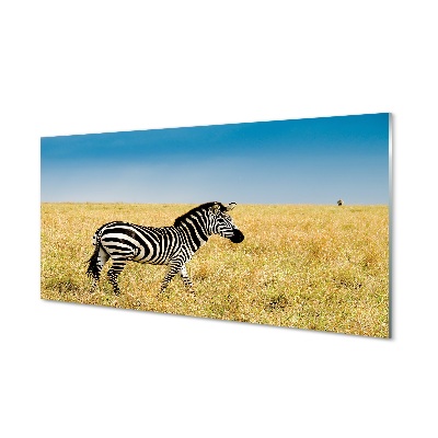 Glasbilder Zebra-box