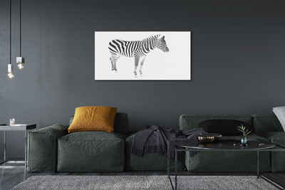 Glasbilder Painted zebra