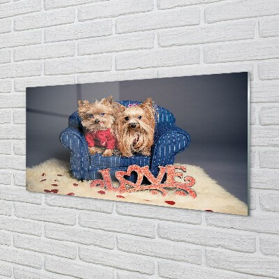 Glasbilder Yorkie