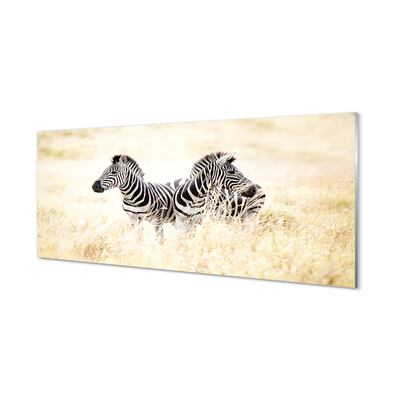 Glasbilder Zebra-box