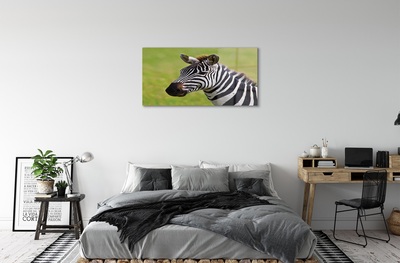 Glasbilder Zebra