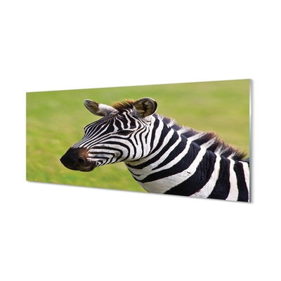 Glasbilder Zebra