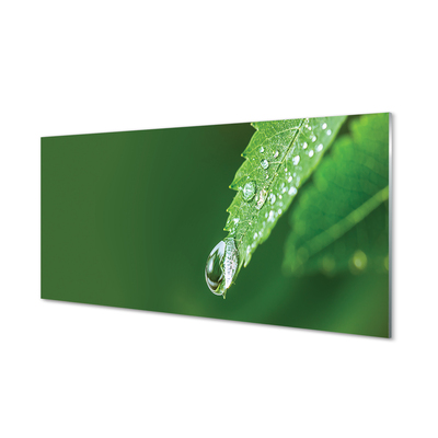 Glasbilder Wassertropfen blatt