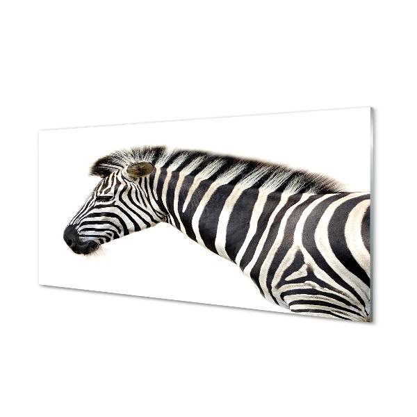 Glasbilder Zebra