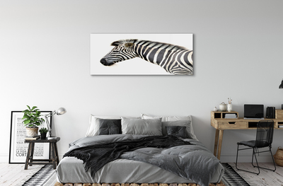 Glasbilder Zebra