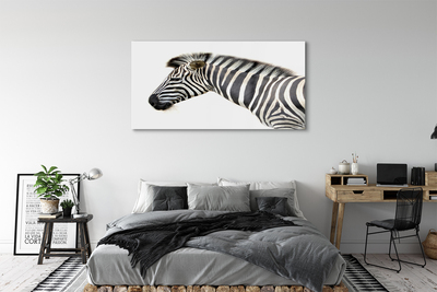 Glasbilder Zebra