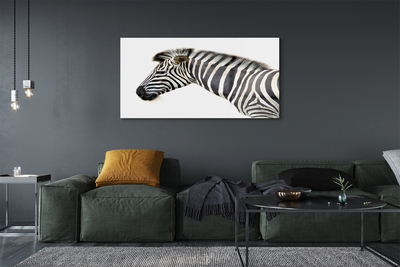 Glasbilder Zebra