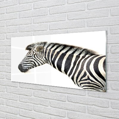 Glasbilder Zebra