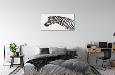 Glasbilder Zebra