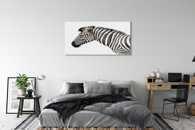 Glasbilder Zebra