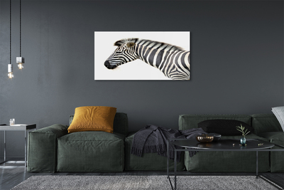 Glasbilder Zebra