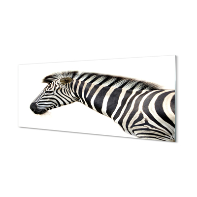 Glasbilder Zebra