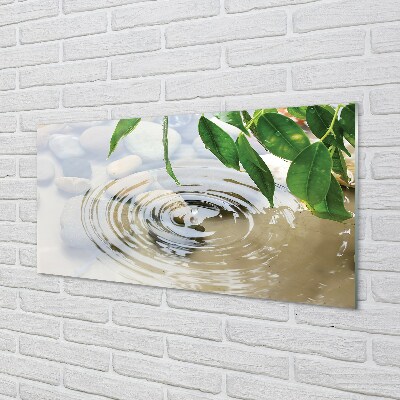 Glasbilder Splash tropfen