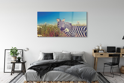 Glasbilder Zebra blumen