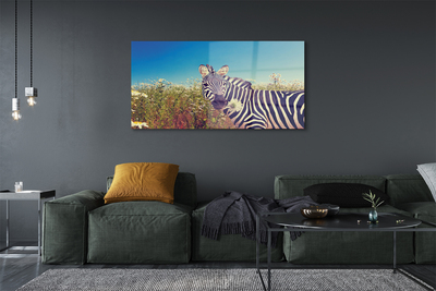 Glasbilder Zebra blumen