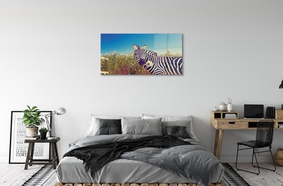 Glasbilder Zebra blumen