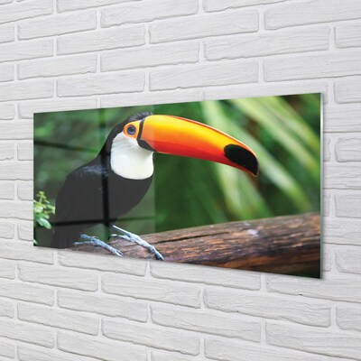 Glasbilder Toucan auf einem ast