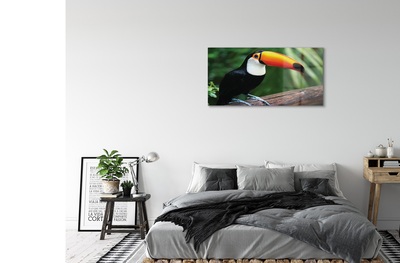 Glasbilder Toucan auf einem ast