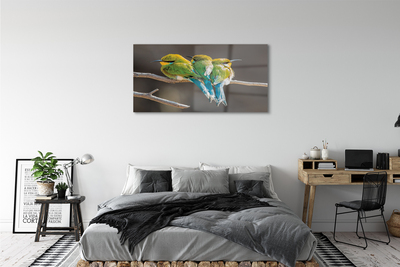 Glasbilder Vögel auf einem ast