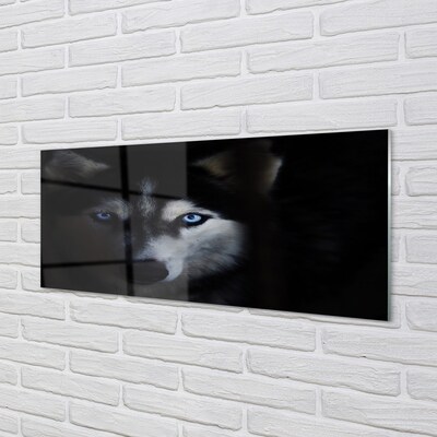 Glasbilder Wolf augen