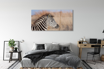 Glasbilder Zebra