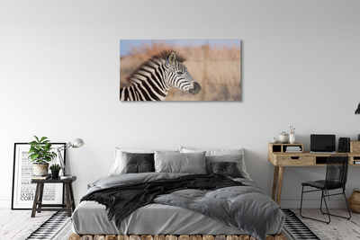 Glasbilder Zebra