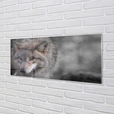 Glasbilder Wolf