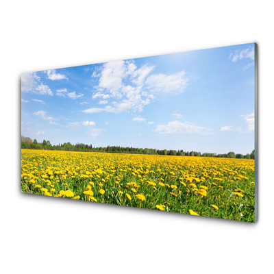 Glasbilder Löwenzahn Wiese Landschaft