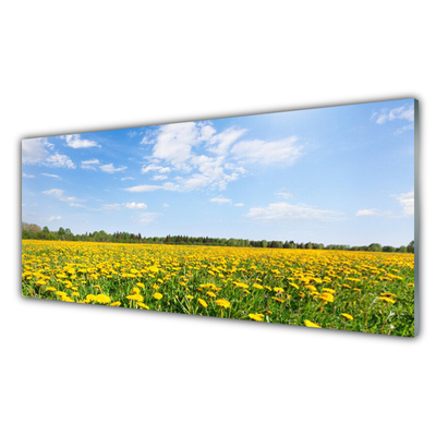 Glasbilder Löwenzahn Wiese Landschaft